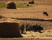 2018 2019 - Etiopia 2095